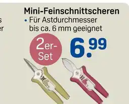 Rossmann Mini-feinschnittscheren Angebot