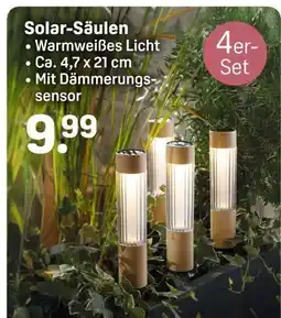 Rossmann Solar-säulen Angebot