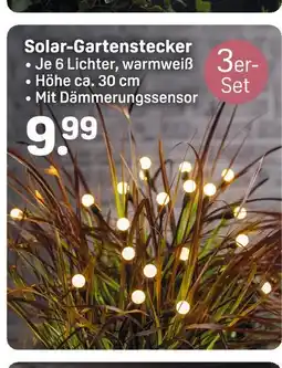 Rossmann Solar-gartenstecker Angebot