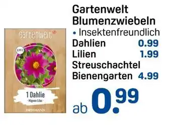 Rossmann Gartenwelt blumenzwiebeln Angebot