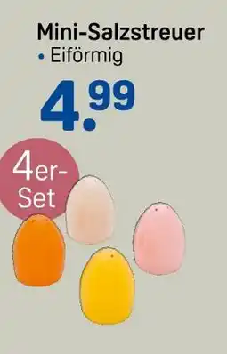 Rossmann Mini-salzstreuer Angebot