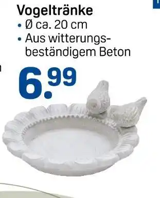 Rossmann Vogeltränke Angebot