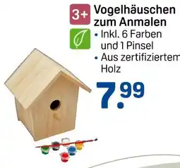 Rossmann Vogelhäuschen zum anmalen Angebot