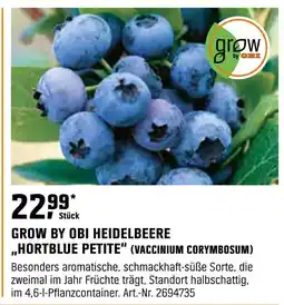 OBI Grow by obi heidelbeere „hortblue petite“ (vaccinium corymbosum) Angebot