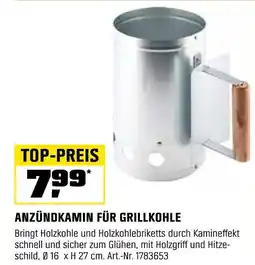 OBI Anzündkamin für grillkohle Angebot