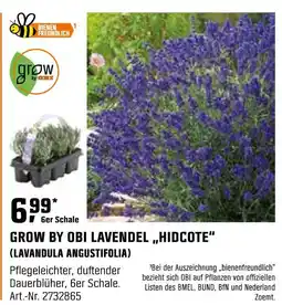 OBI Grow by obi grow by obi lavendel hidcote (lavandula angustifolia) Angebot