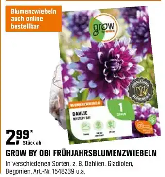 OBI Grow by obi frühjahrsblumenzwiebeln Angebot