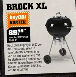 OBI Brock xl Angebot