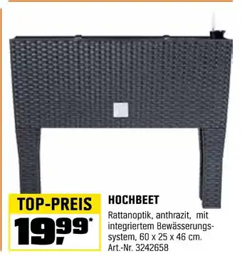 OBI Hochbeet Angebot