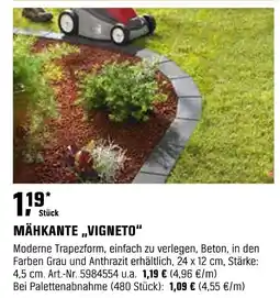 OBI Mähkante vigneto Angebot