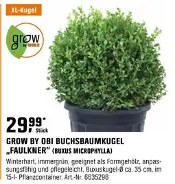 OBI Grow by obi buchsbaumkugel faulkner (buxus microphylla) Angebot