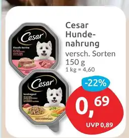 Budni Cesar cesar hundenahrung Angebot