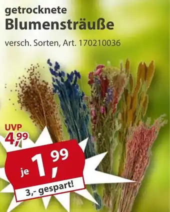 Sonderpreis Baumarkt getrocknete Blumensträuße Angebot