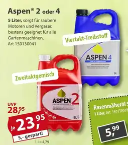 Sonderpreis Baumarkt Aspen 2 oder 4 Angebot