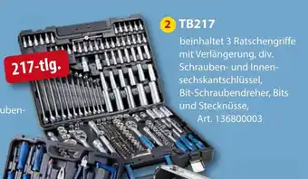 Sonderpreis Baumarkt Scheppach Werkzeugkoffer TB217 Angebot