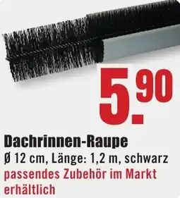 B1 Discount Baumarkt Dachrinnen-Raupe Angebot