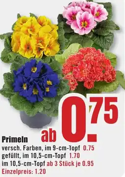 B1 Discount Baumarkt Primeln Angebot