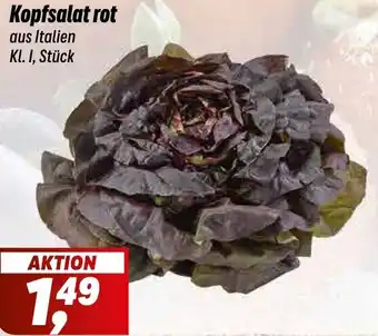 Simmel Kopfsalat rot Angebot