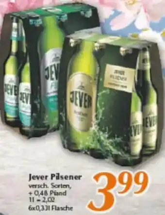 inkoop Jever Pilsener Angebot