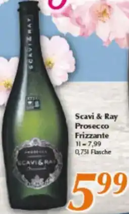 inkoop Scavi & Ray Prosecco Frizzante Angebot