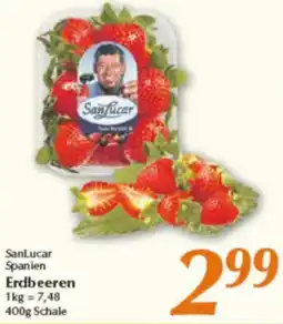 inkoop SanLucar Spanien Erdbeeren Angebot