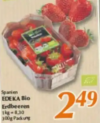 inkoop Spanien EDEKA Bio Erdbeeren Angebot