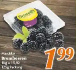 inkoop Marokko Brombeeren Angebot