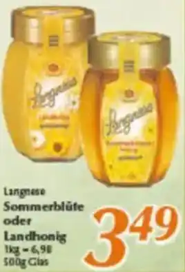 inkoop Langnese Sommerblüte oder Landhonig Angebot