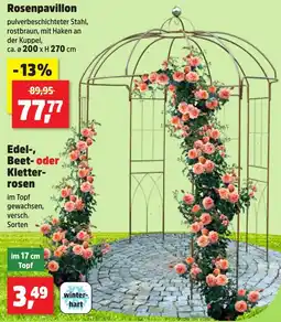 Thomas Philipps Rosenpavillon Angebot