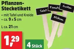 Thomas Philipps Pflanzen Stecketikett Angebot