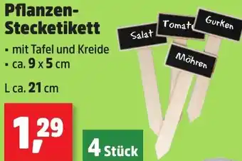 Thomas Philipps Pflanzen Stecketikett Angebot