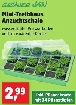 Thomas Philipps GRÜNER JAN Mini-Treibhaus Anzuchtschale Angebot