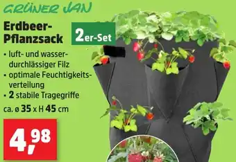 Thomas Philipps GRÜNER JAN Erdbeer Pflanzsack Angebot