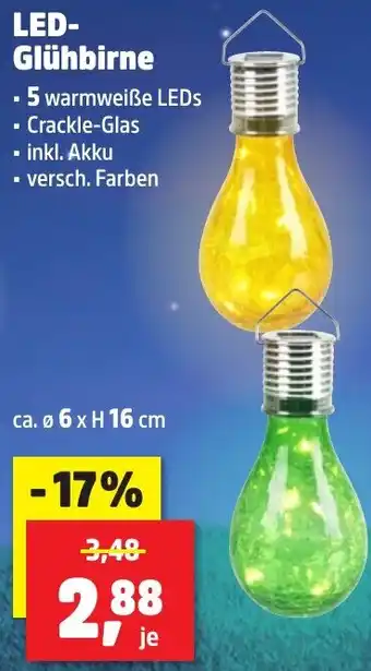 Thomas Philipps LED Glühbirne Angebot