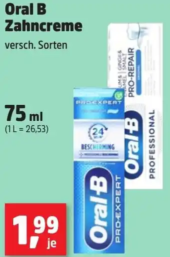 Thomas Philipps Oral B Zahncreme Angebot