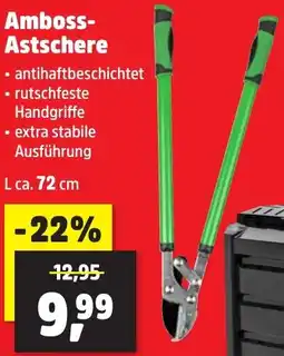 Thomas Philipps Amboss Astschere Angebot