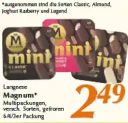 inkoop Langnese Magnum Angebot