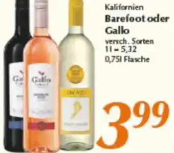 inkoop Kalifornien Barefoot oder Gallo Angebot