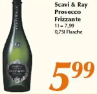 inkoop Scavi & Ray Prosecco Frizzante Angebot