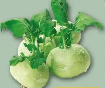 REWE Rewe Bio Kohlrabi Angebot