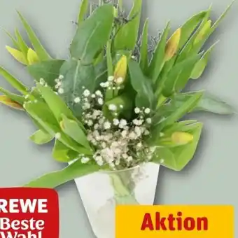 REWE Rewe Beste Wahl Blumenstrauß Tulpen Nice Angebot