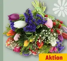 REWE Blumenstrauß Tulpenfestival Angebot