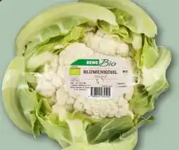 REWE Rewe Bio Blumenkohl Angebot