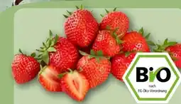 REWE Rewe Bio Bio-Erdbeeren Angebot