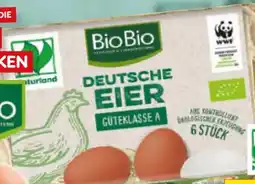 Netto Marken-Discount BioBio Bio-Eier Angebot