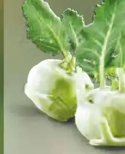 Netto Marken-Discount Kohlrabi Angebot