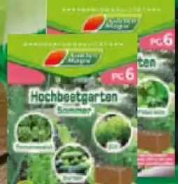 Netto Marken-Discount Garten Magie Saatgut Angebot