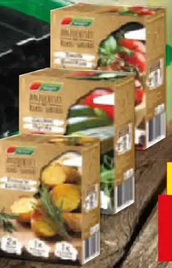 Netto Marken-Discount Garten Magie Kokos-Anzucht-Sets Angebot