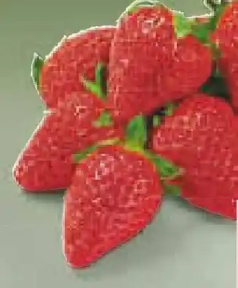 Netto Marken-Discount Erdbeeren Angebot