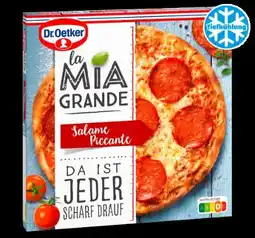 PENNY Dr. Oetker La Mia Grande Salame Piccante Angebot